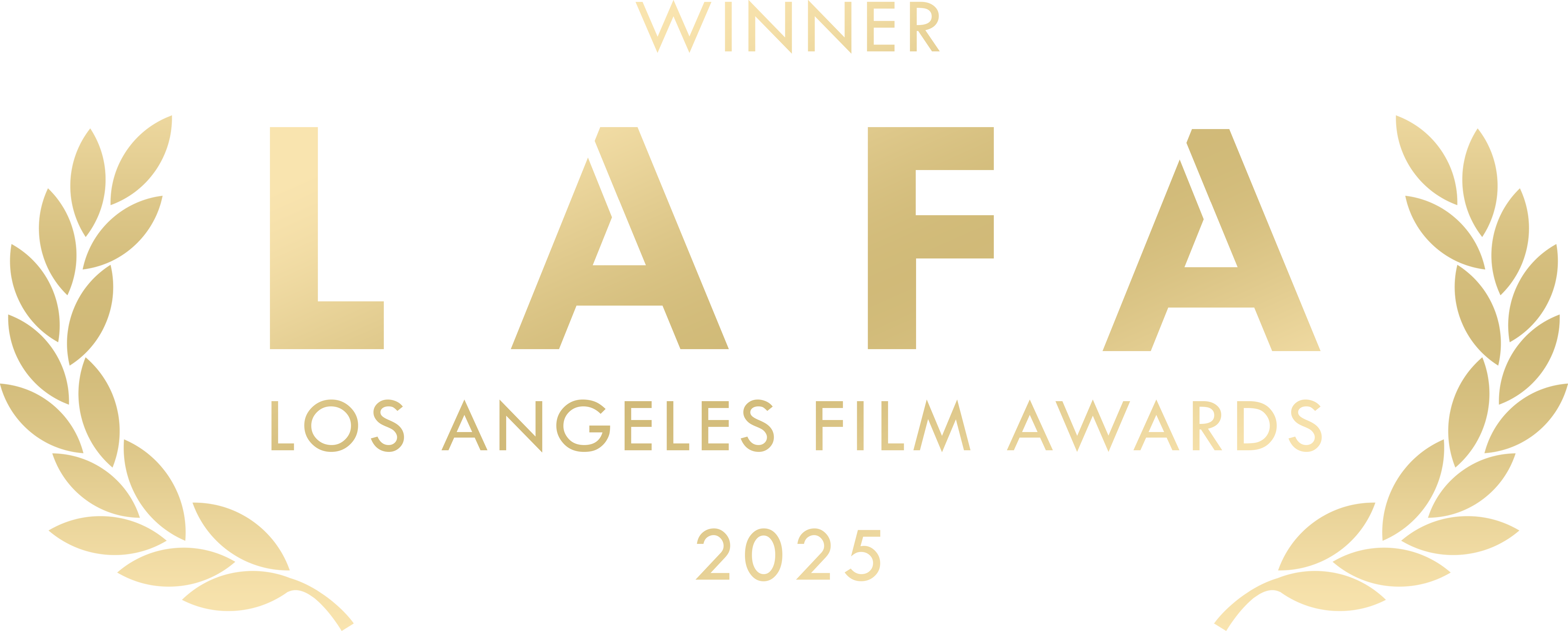 Echoes Of Light and Dark, best Indie Film Los Angeles Film Awards